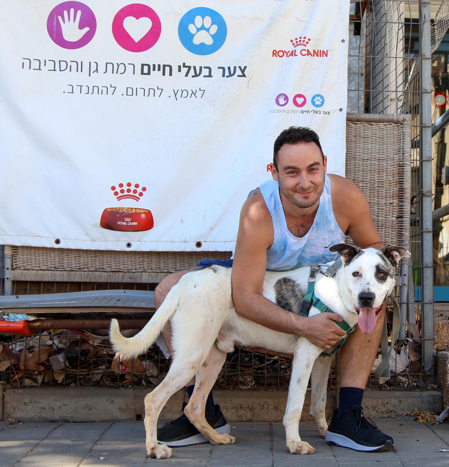 כלב מטייל בתל אביב